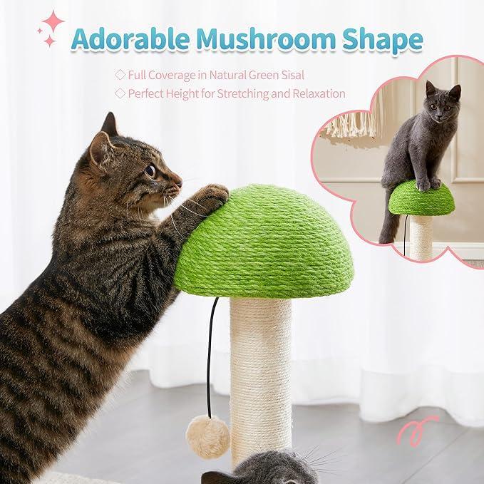 Cat using natural sisal rope scratching post