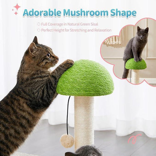 Cat using natural sisal rope scratching post