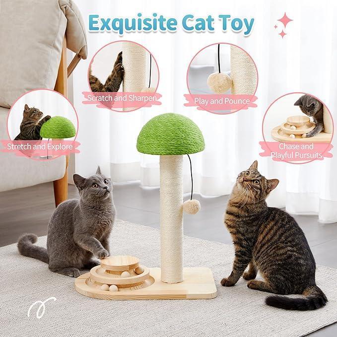2-in-1 cat scratcher and ball track toy top view