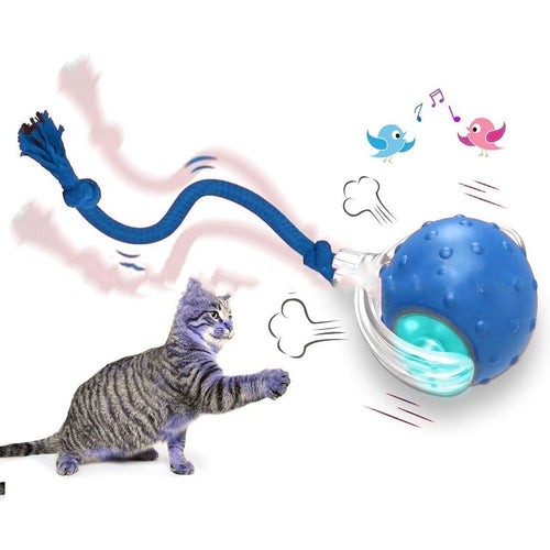 Cat playing with automatic rolling ball toy