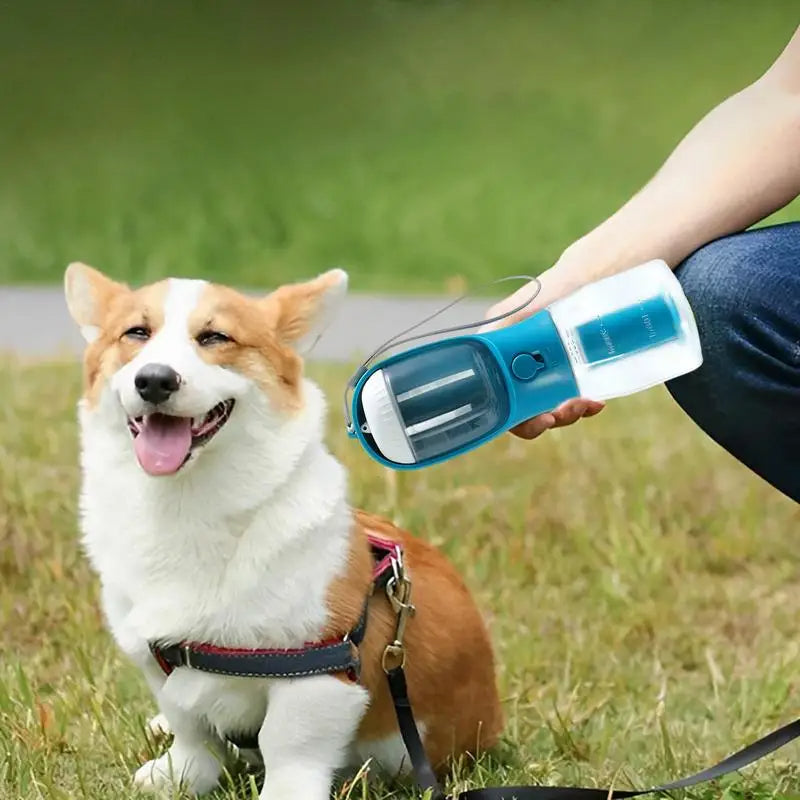 Dog drinking from travel water bottle