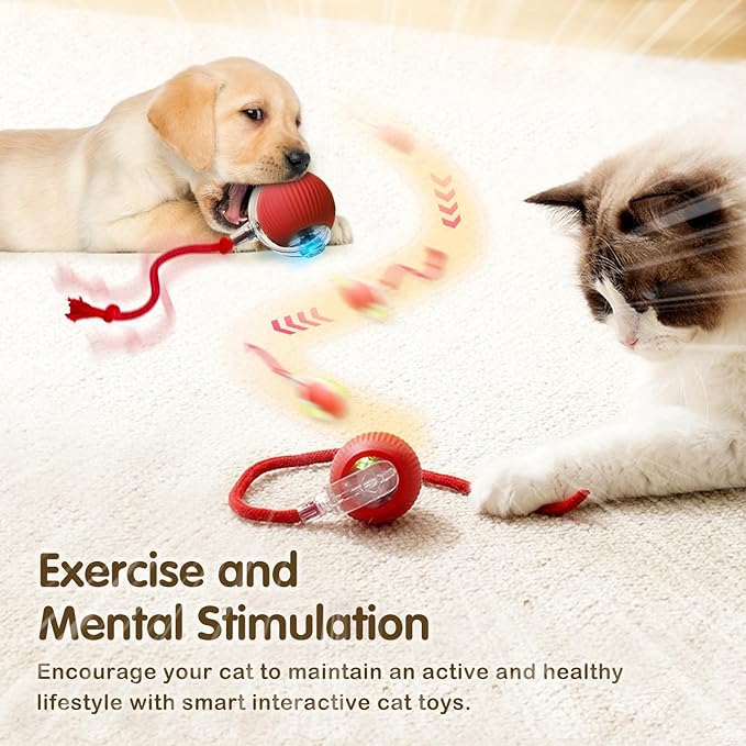 Interactive Self-Rolling Cat Toy Ball with Bird Sounds & Auto Sleep Mode