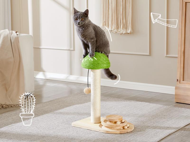 Cat playing with mushroom scratching post