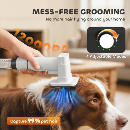 5-in-1 Dog Grooming Vacuum & Dryer — detail view 4